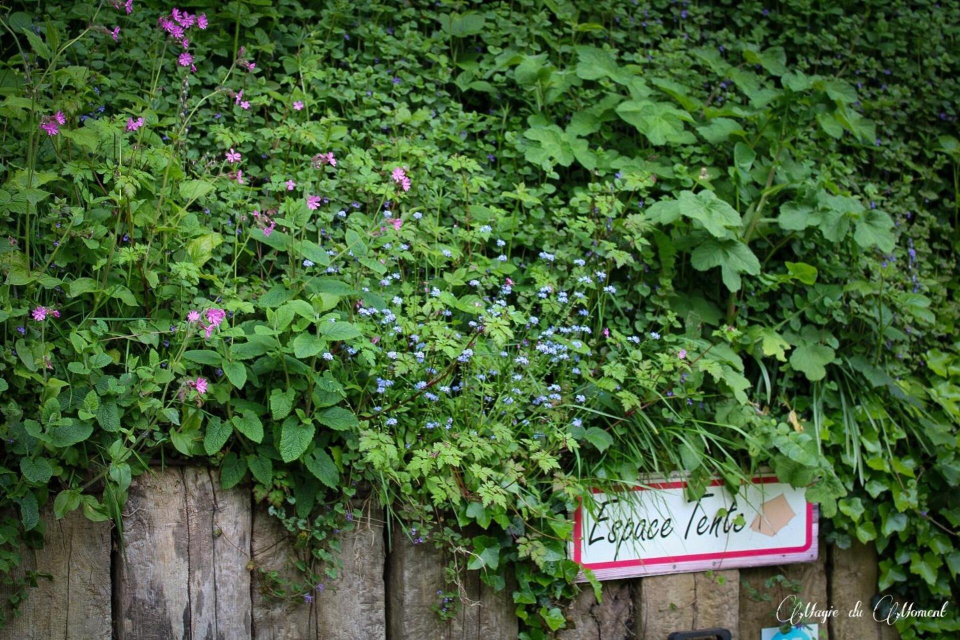 Camping La Sabliere Saint-Jans-Cappel Exteriér fotografie