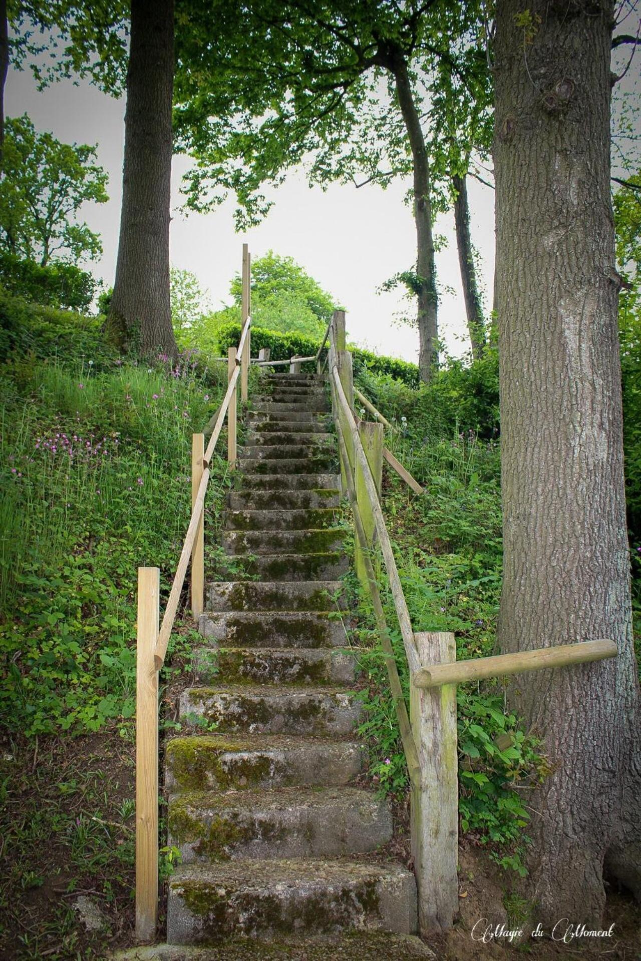 Camping La Sabliere Saint-Jans-Cappel Exteriér fotografie