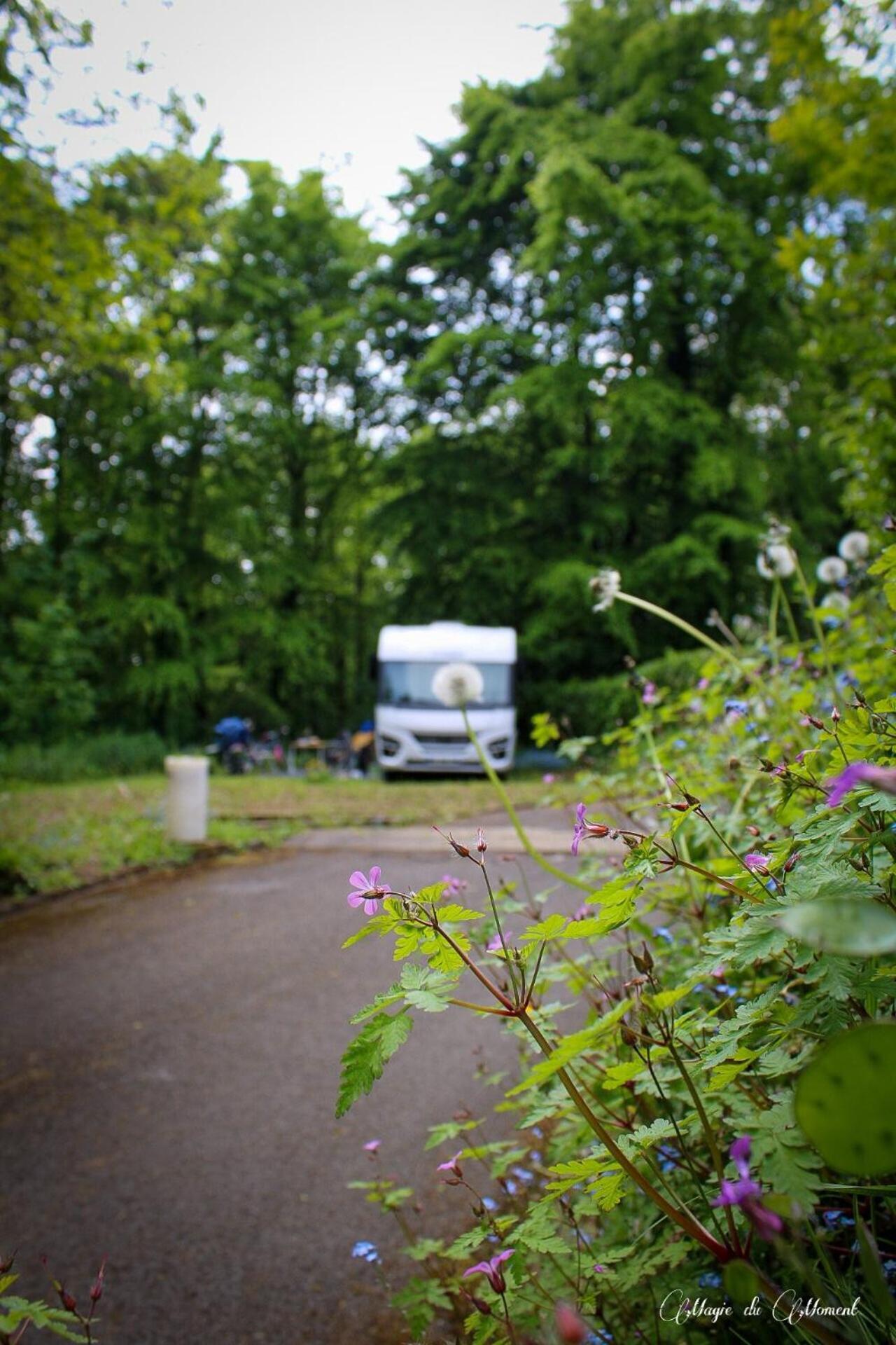 Camping La Sabliere Saint-Jans-Cappel Exteriér fotografie